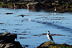 New Zealand - South Island / Kaikoura